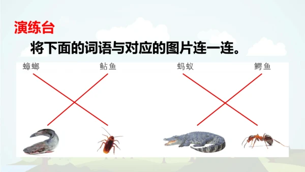 统编版2024-2025学年三年级语文上册同步语文园地六  -精品课件