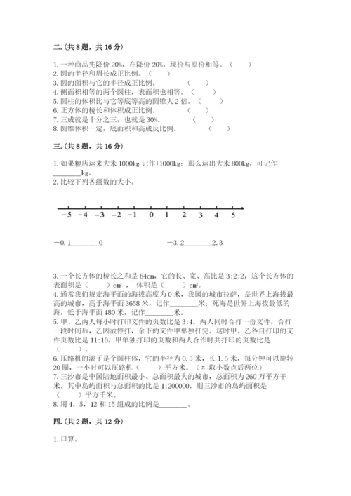 人教版数学六年级下册试题期末模拟检测卷（考点精练）.docx