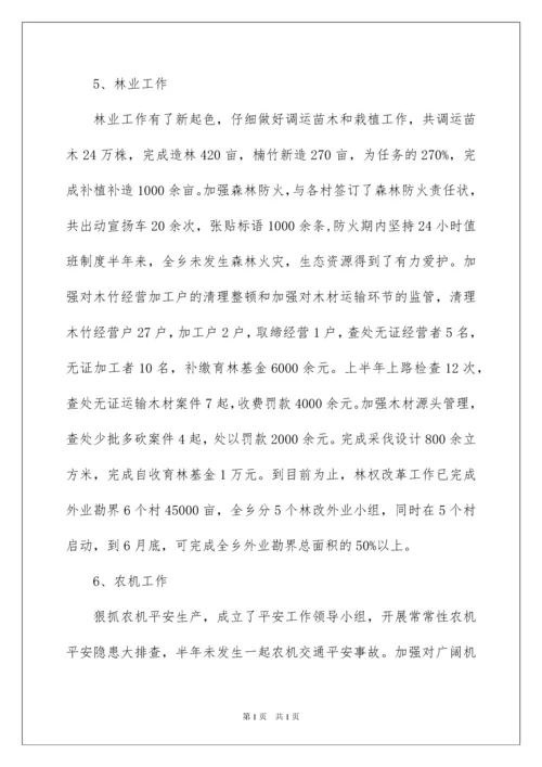 2022乡农业农村工作上半年总结及下半年工作计划.docx