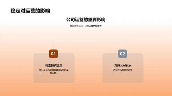 财务状况与策略分析