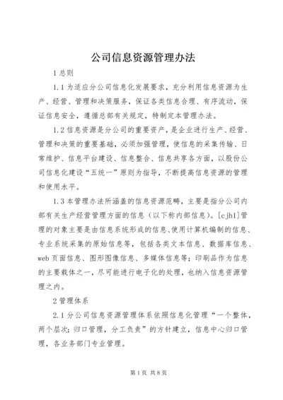 公司信息资源管理办法.docx