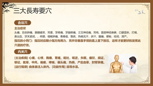 棕色复古中医经络养生PPT模板宣传PPT动态PPT