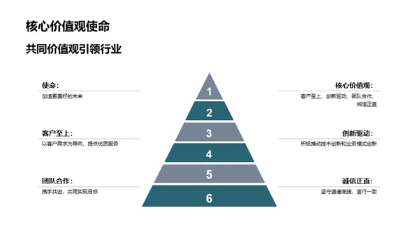 公司历程与展望