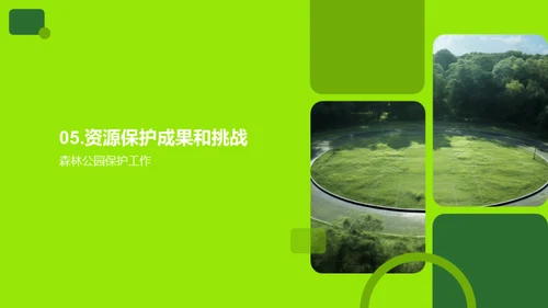守护绿色家园