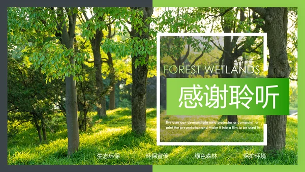 绿色生态森林湿地环境保护植树造林PPT模板