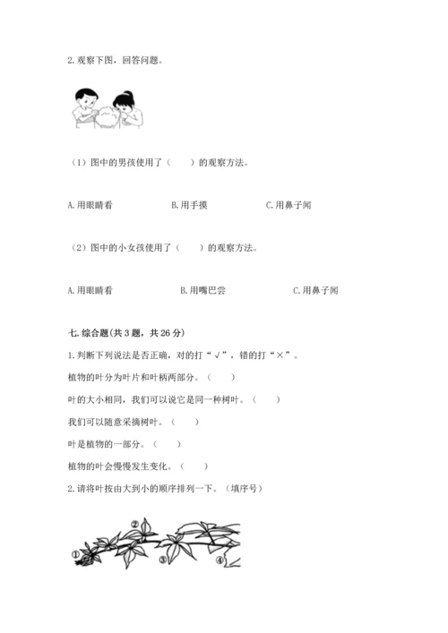 教科版科学一年级上册第一单元《植物》测试卷（精选题）.docx