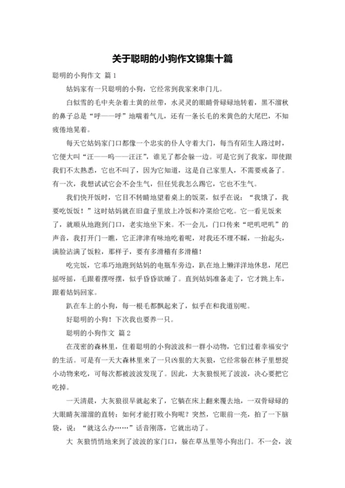 关于聪明的小狗作文锦集十篇.docx