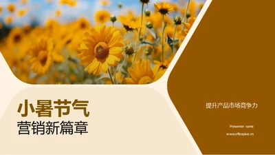 小暑节气营销新篇章