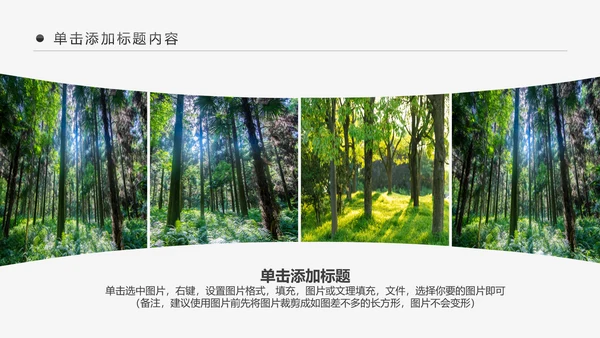 绿色森林湿地环境保护生态森林森业PPT模板