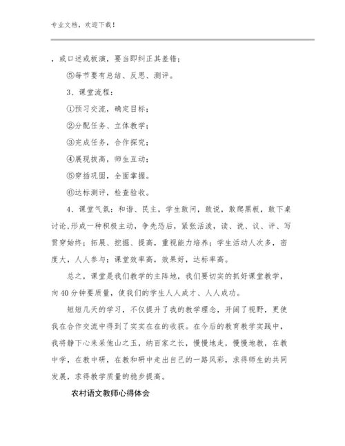 2024年农村语文教师心得体会例文16篇文档选编.docx