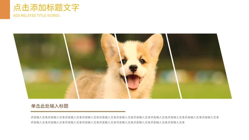 可爱宠物店猫猫狗狗通用PPT模板