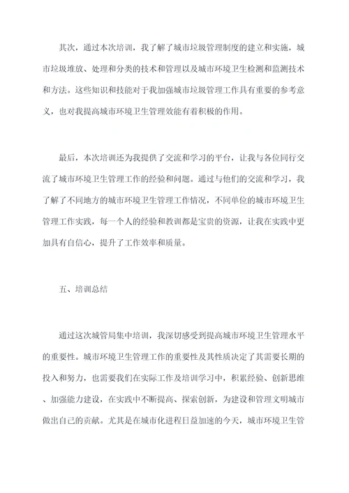 城管局集中培训总结