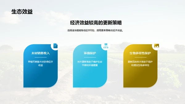 农林更新：投资与回报