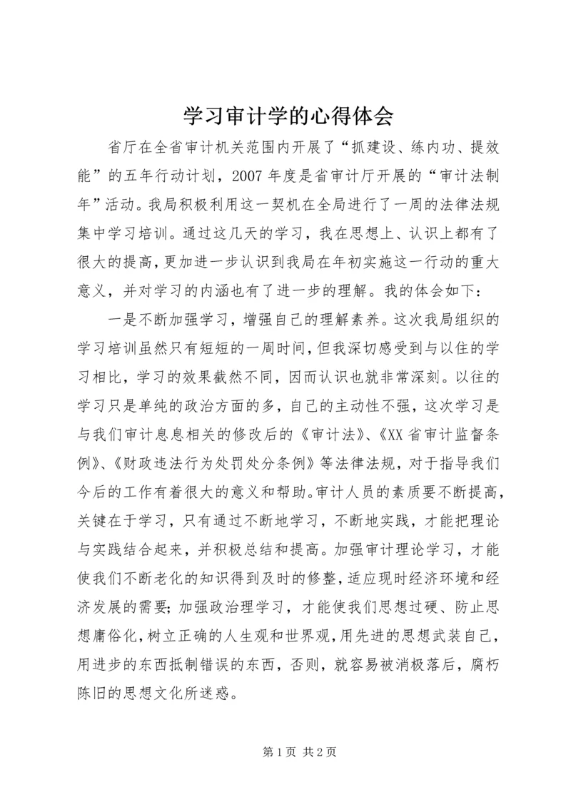 学习审计学的心得体会 (3).docx