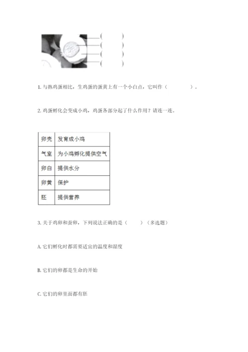 教科版科学三年级下册 期末测试卷精品（模拟题）.docx