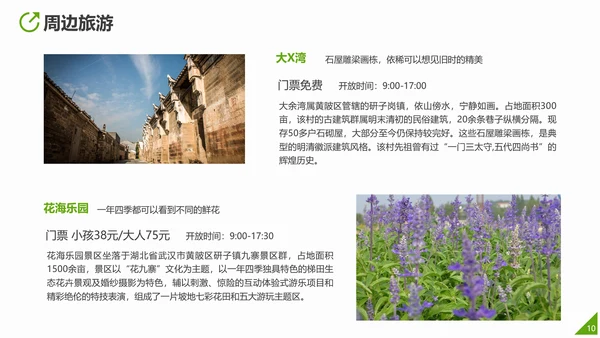 互联网运营推广方案PPT模板