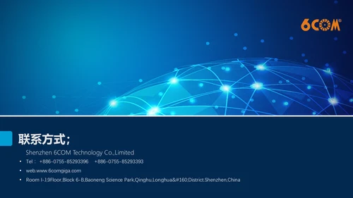 全球化信息科技公司介绍企业简介通用PPT模板