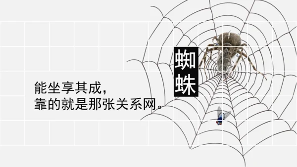 藏在生活中的哲理通用PPT课件