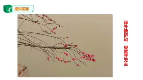 八年级下册第六单元课外古诗词诵读 卜算子.咏梅 课件(共23张PPT)