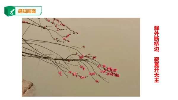 八年级下册第六单元课外古诗词诵读 卜算子.咏梅 课件(共23张PPT)