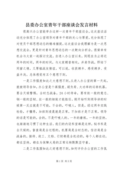 县委办公室青年干部座谈会发言材料.docx