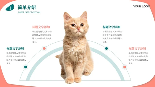 莫兰迪色卡通风宠物饲养心得经验分享PPT模板