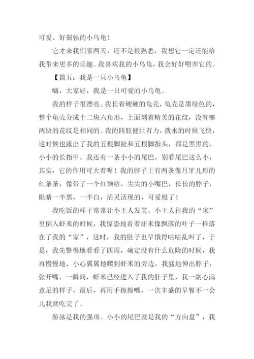 小乌龟的作文.docx