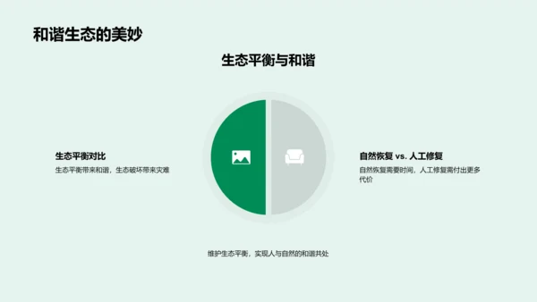 生态平衡保护实践PPT模板