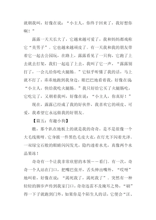 关于小狗的作文500字.docx