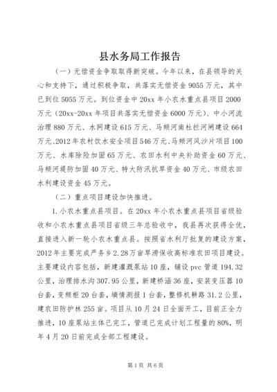 县水务局工作报告 (3).docx