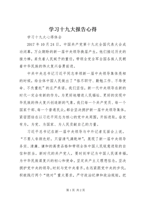 学习十九大报告心得 (13).docx