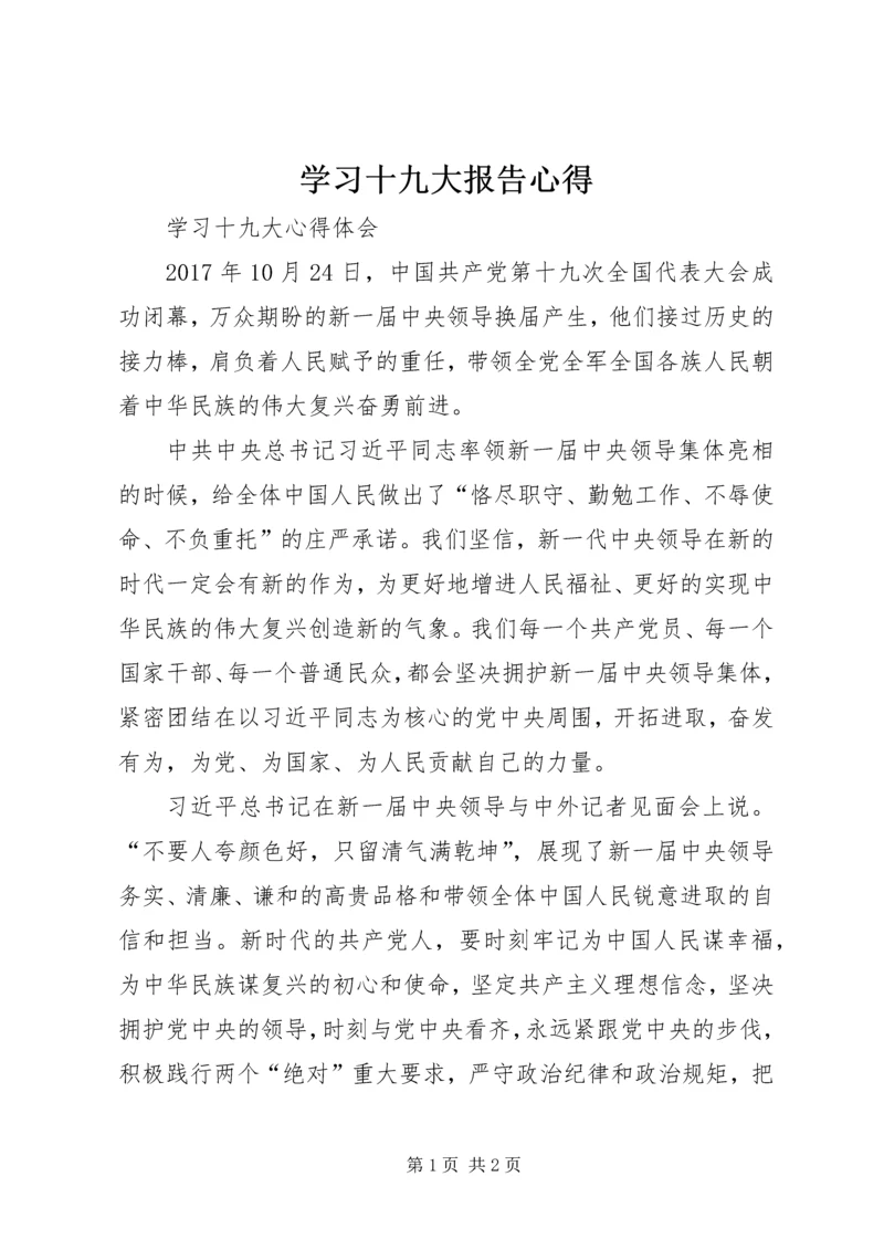 学习十九大报告心得 (13).docx