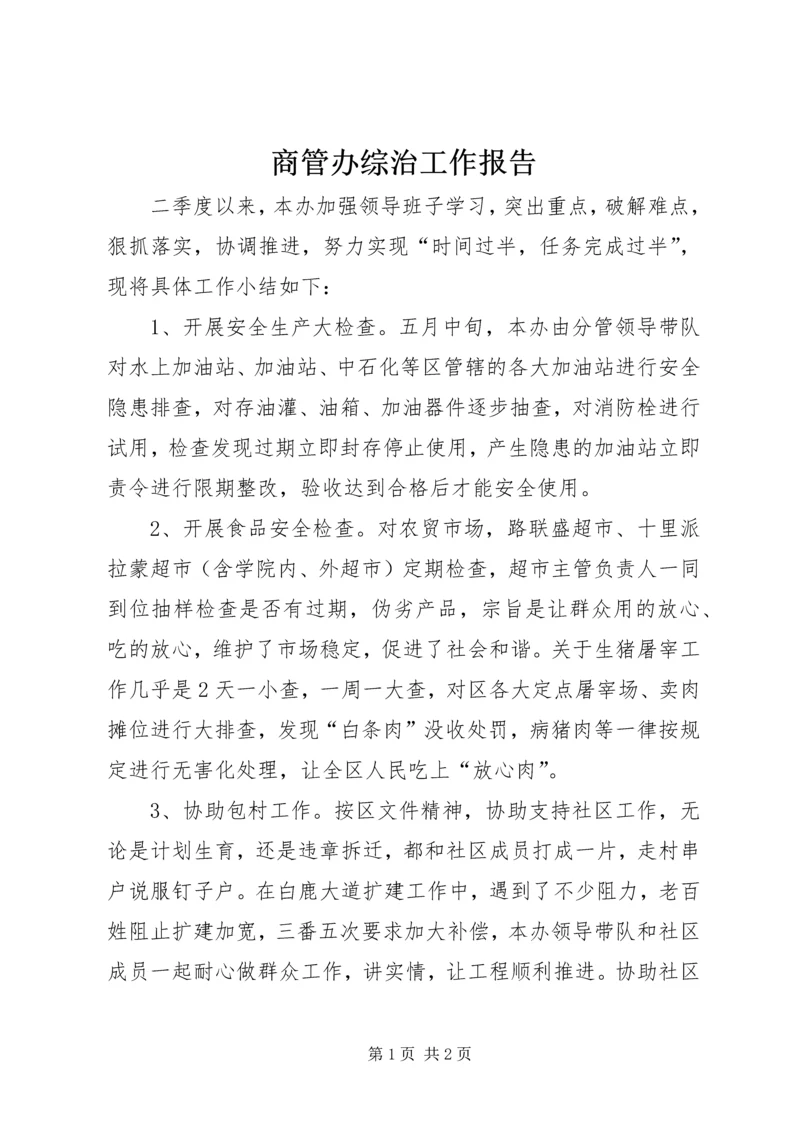 商管办综治工作报告.docx