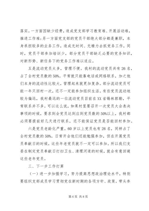 村党支部书记抓党建工作情况报告.docx