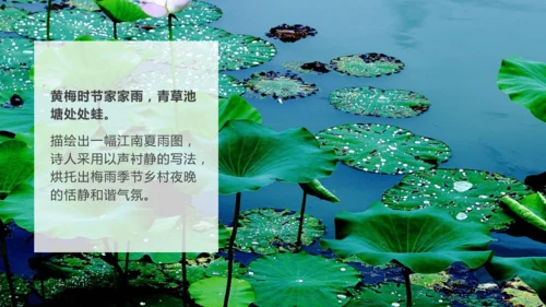 第六单元 课外古诗词诵读 约客 课件