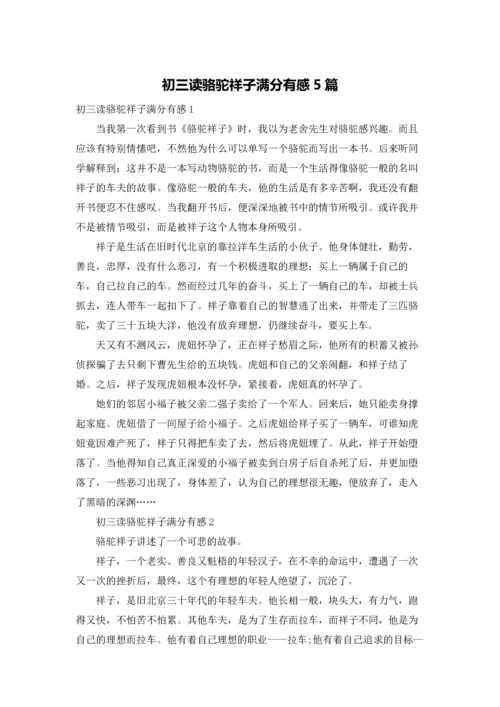 初三读骆驼祥子满分有感5篇.docx