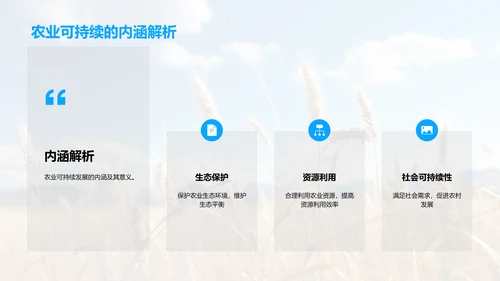 农业发展新战略