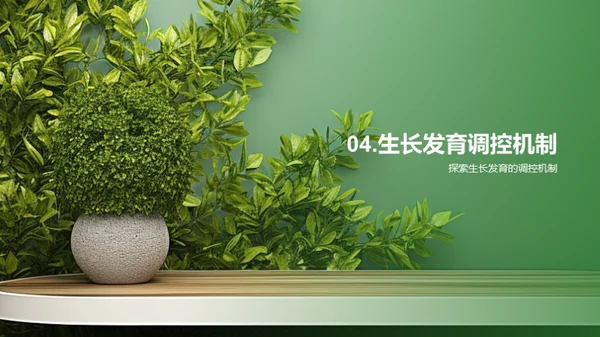 植物生长的秘密