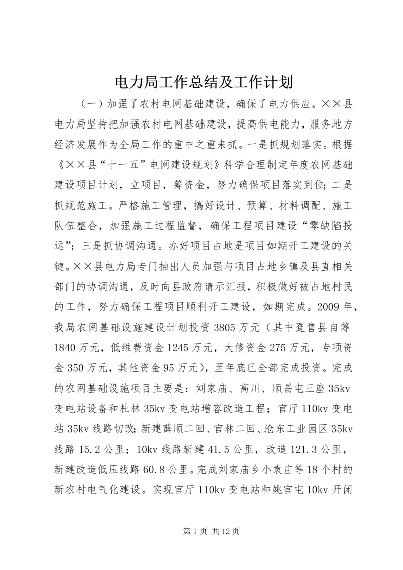 电力局工作总结及工作计划.docx