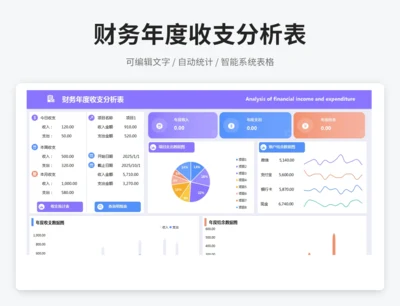 财务年度收支分析表