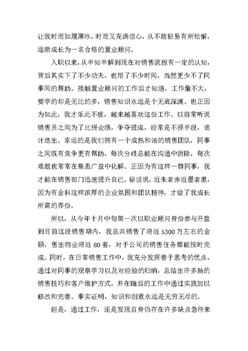 XX置业顾问个人年终总结