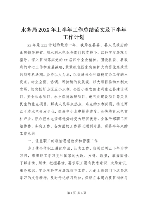 水务局20XX年上半年工作总结范文及下半年工作计划.docx