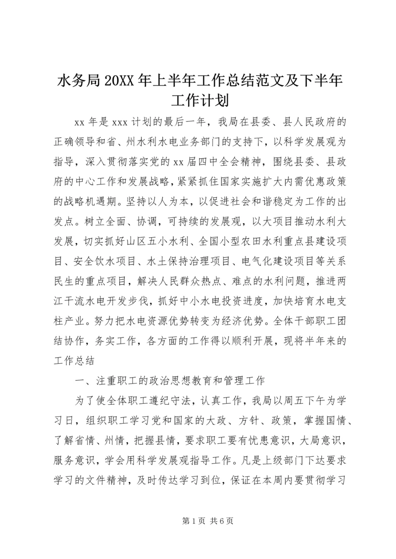 水务局20XX年上半年工作总结范文及下半年工作计划.docx