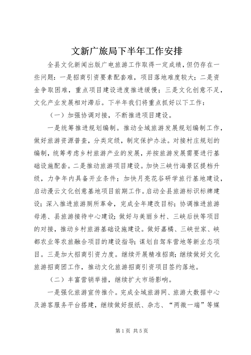 文新广旅局下半年工作安排.docx