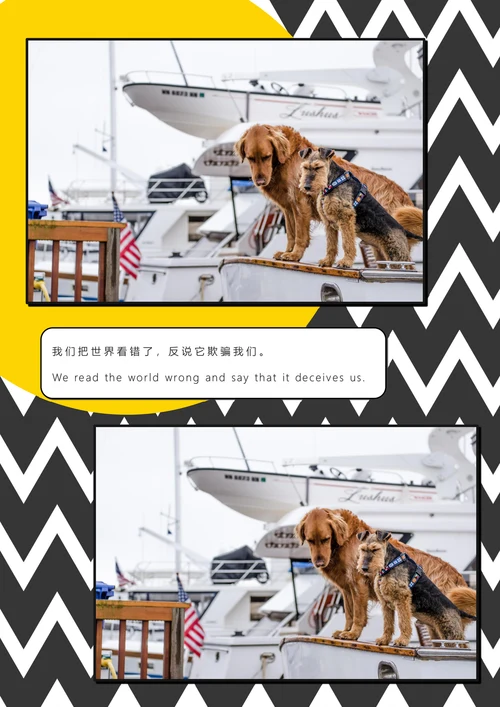 相册潮流商务风艺术风画册纪念册照片集
