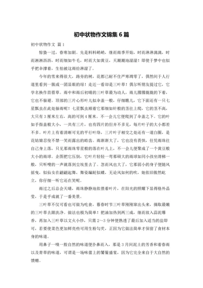 初中状物作文锦集6篇.docx