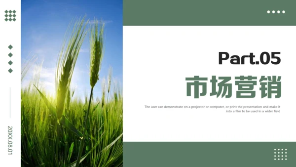 农业项目商业计划书通用PPT模板