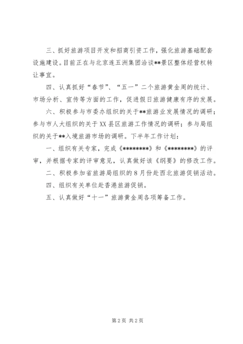 市旅游局上半年工作总结和下半年工作计划 (9).docx