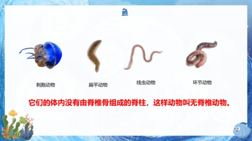 人教版生物七年级上册2.2.2《脊椎动物》课件(共22张PPT)+视频素材