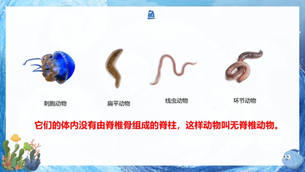 人教版生物七年级上册2.2.2《脊椎动物》课件(共22张PPT)+视频素材